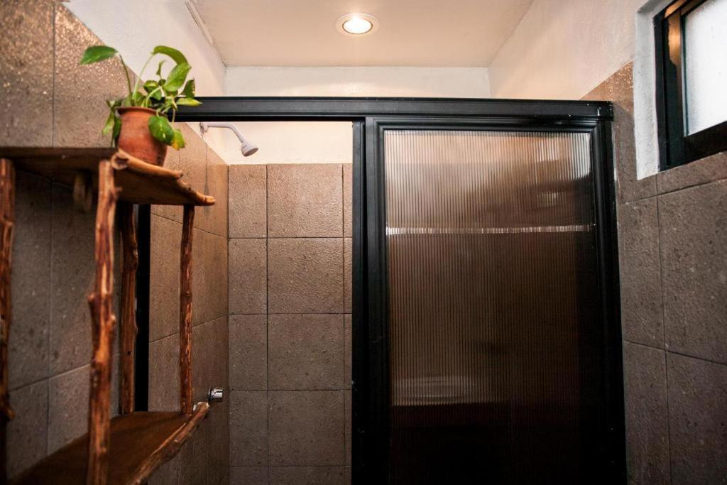 The All Inclusive Hostel - Food, Drinks And Transportation To The Beach And Cenotes Tulum Bagian luar foto